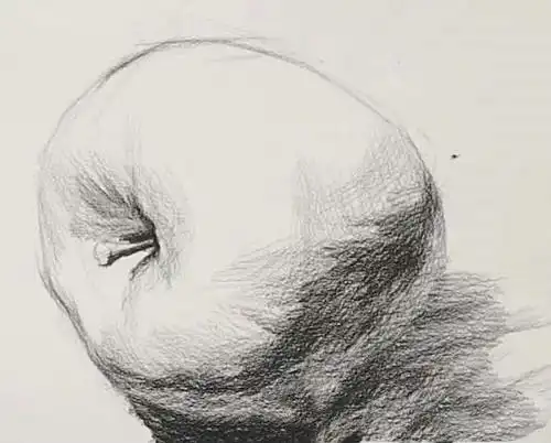 素描苹果的分解步骤图