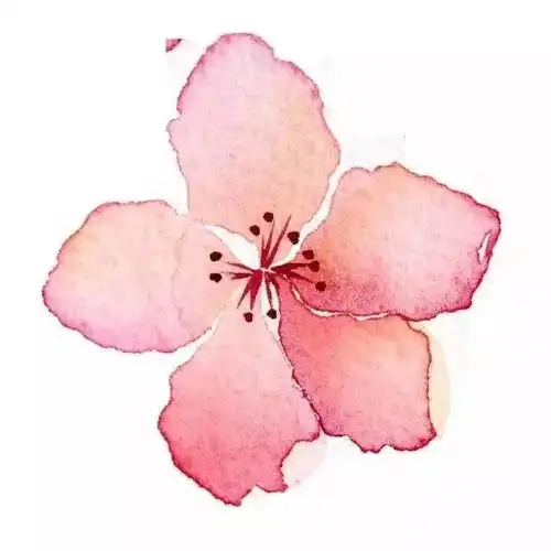 法国蒙马特红磨坊的红色诱惑