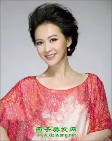 50岁女人盘发发型图片大全