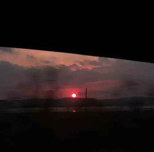 温柔文案见过花开的人,便会懂得风的温柔