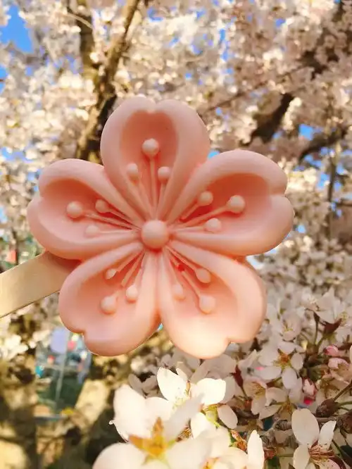 2021大连旅顺樱花节有樱花食品吗