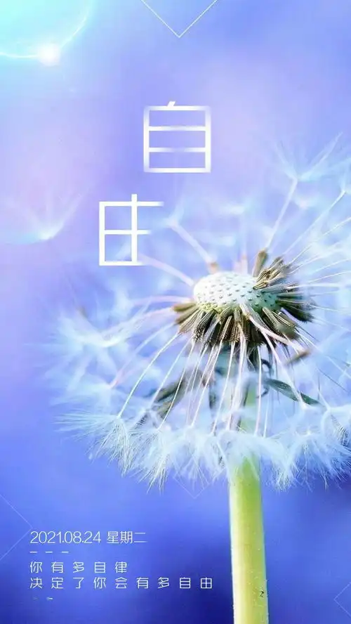 8月24日早安心语正能量治愈系语录句子最妙的早安正能量图片带字