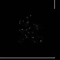 上海期货交易所党委书记理事长姜岩2019年新年献词