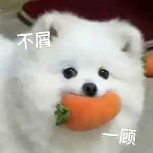 抖音大学生遛狗是什么梗