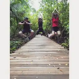 感受新加坡的热带雨林