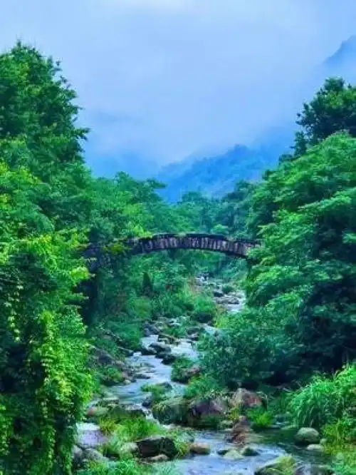 创作灵感雨停了,大自然的气息让人内心一片宁静,清幽,安详治愈系风景美在山水间