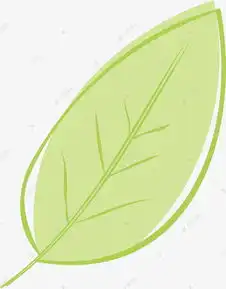 卡通手绘一片绿树叶素材图片免费下载高清png千库网图片编号9892592