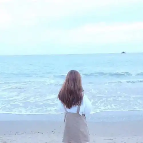 胡辣汤式生活大林