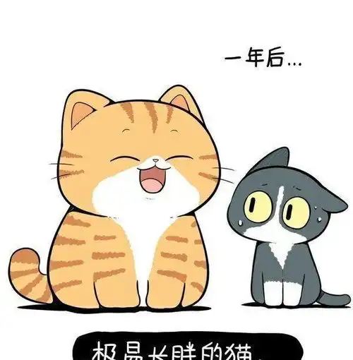老虎是它兄弟有钱人才能养得起大橘,它就是橘猫