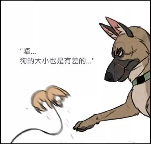 超暖心小漫画退役军犬大狼狗与小猫咪