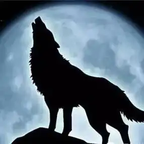 广州多盘叫嚣涨价狼真的来了吗