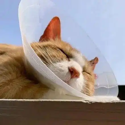 微信头像丨情侣头像,闺蜜头像,基友头像