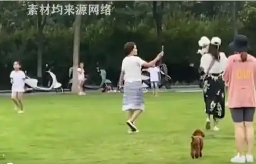 可恨的狗主人情侣遛狗不牵绳,咬伤小女孩后竟带着狗逃跑了