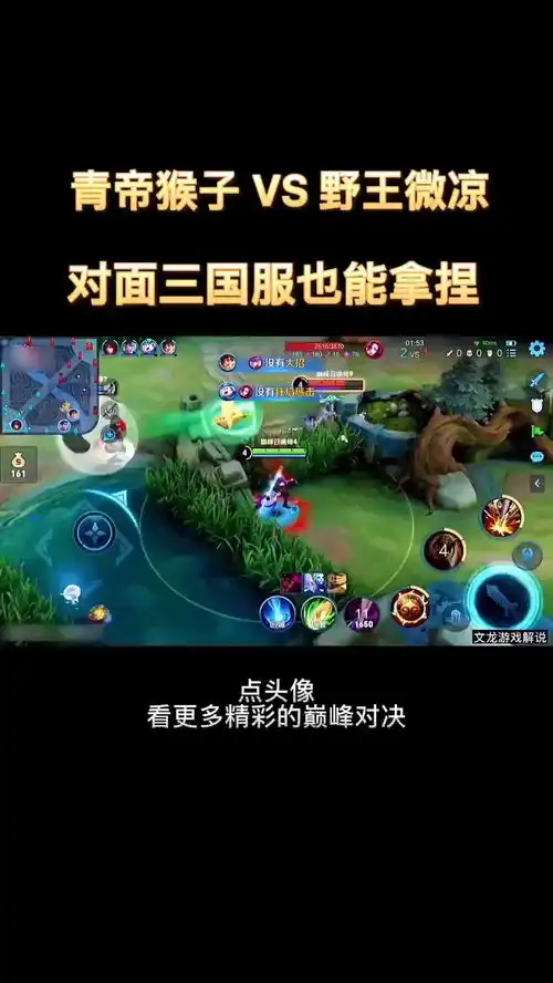 青帝猴子撞车顶级野王微凉镜,神仙打架,对面三个国服也能拿捏王者荣耀