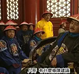雍正王朝里为什么十三阿哥的朝服和其他阿哥的样式不一样