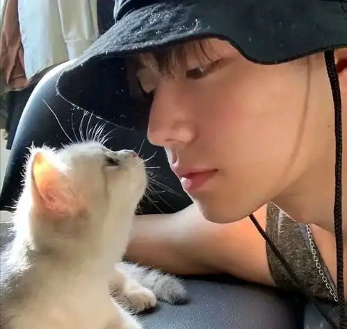 优质男头慢慢来也是一种诚意