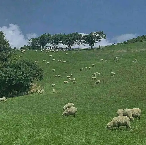 杂.治愈系风景我想陪你的又何唯美图片我要个性网
