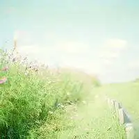 清新唯美风累微信头像图片大全微信头像图片大全