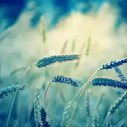 隐形的风险