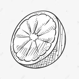 卡通手绘线描水果橙子素材图片免费下载高清png千库网图片编号9903531