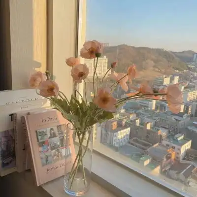 季清ins风唯美治愈家居理想式风景静物头像我要个性网