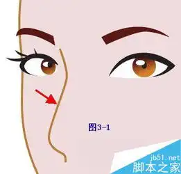人物插画唯美系列美女头