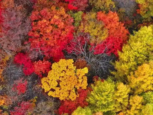 金九银十出境游迎来错峰期,蓝色系美景成热门选择