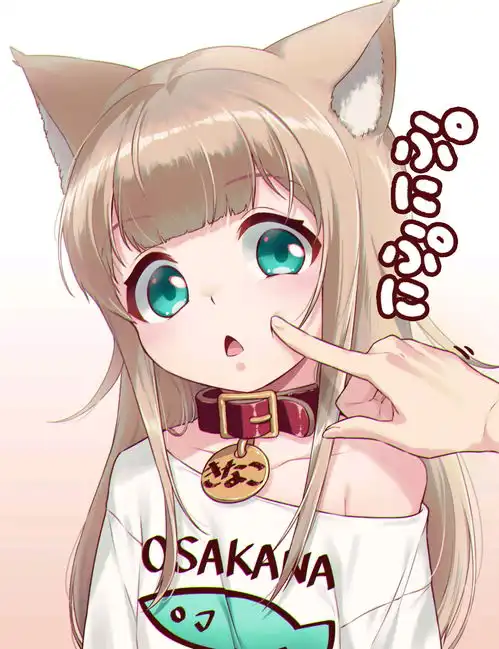 第二期40原家的猫