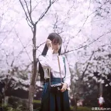 樱花系列头像赏樱