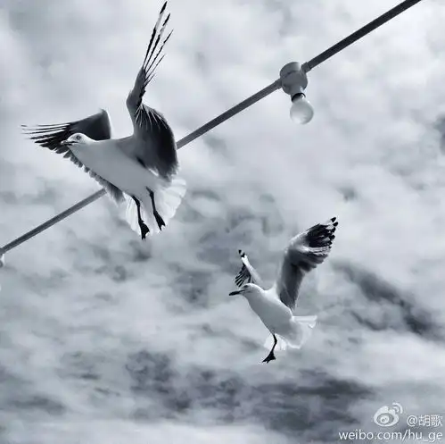 娶了刘亦菲,吻了林依晨,他一夜成名,却经历生死毁容,如今十年蜕变,尽显熟男魅力