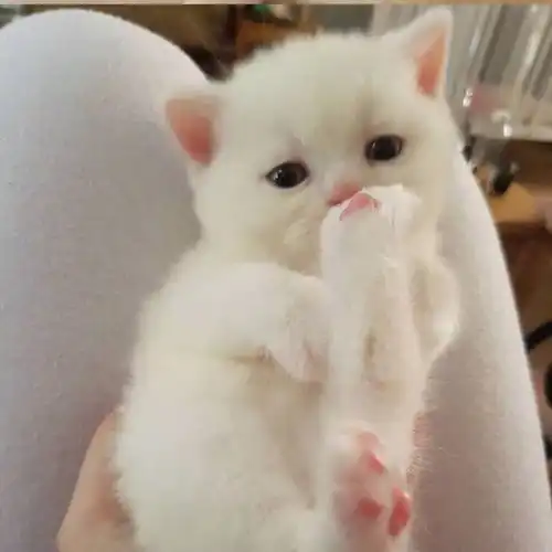 不畏辛苦,初心不忘主席团