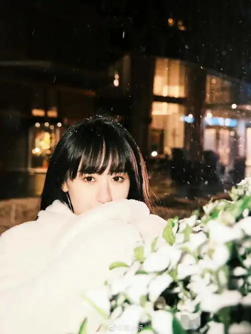 你那里下雪了吗