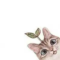 猫系头像个性网微信头像图片大全