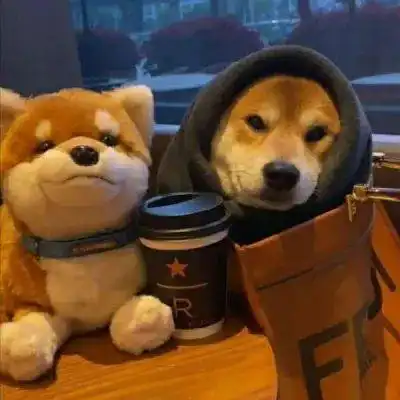 太喜欢今天的背景图了