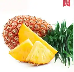 台湾金钻凤梨菠萝