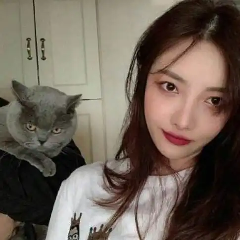 韩系高冷带猫女生头像霸