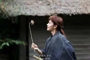 浪客剑心的设定解说