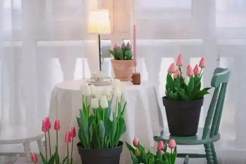 第六届园丁奖露台组艺术奖云的花园