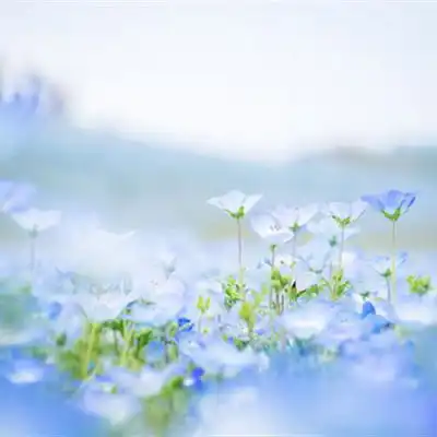 2023大气唯美风景头像