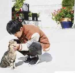 工作室为了庆贺粉丝300万,就把易烊千玺给卖了