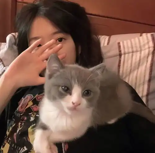 小动物头像来袭丨接住可爱