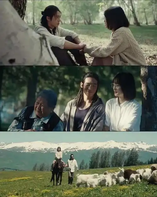 于适化身草原纯情男儿,和周依然太好嗑我的阿勒泰超治愈