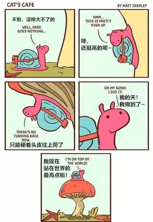 猫咪家的咖啡馆,一群小动物之间的暖心漫画