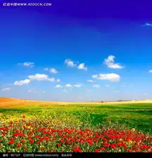 蓝色天空下的草原风景图片免费下载红动网