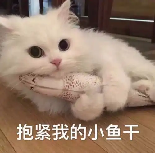 深圳约饭坐标罗湖
