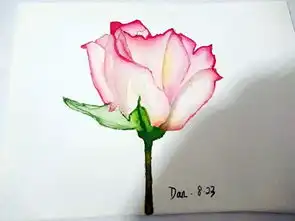 小白想学画画怎么办每天0.5小时,15节零基础水彩视频课带你轻松入门