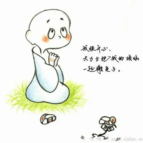 我在莲花开满的地方等你