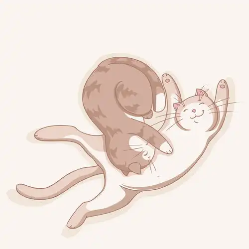 1364摄图网322003619相爱的猫猫卡通片男朋友版税问候语夫妻动物卡片婚礼装饰库存企业商用猫