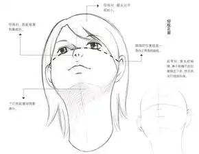 不同角度的人物脸部怎么画动漫人物五官详细的画法