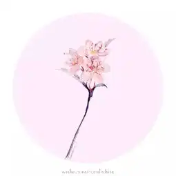 作者白珊瑚coral中国风插画古风古韵堆糖,美好生活研究所